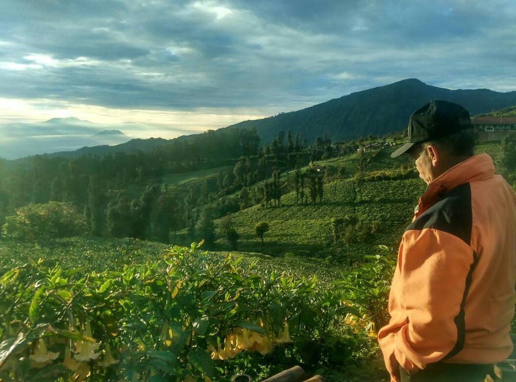 Bromo Otix Guest House Екстер'єр фото