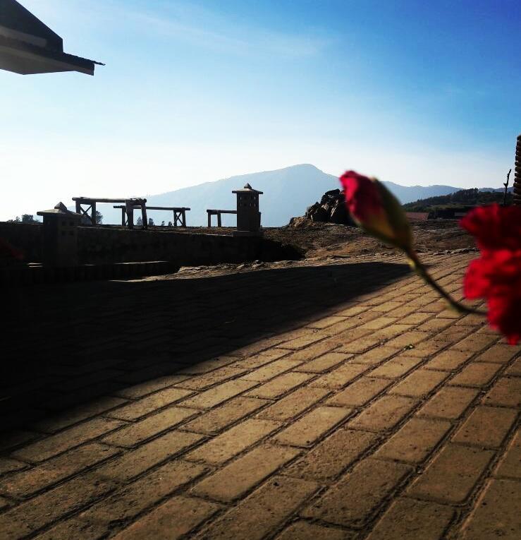 Bromo Otix Guest House Екстер'єр фото