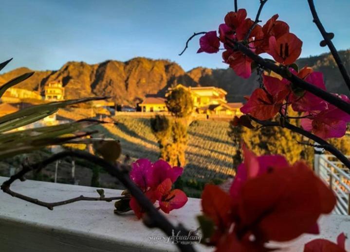 Bromo Otix Guest House Екстер'єр фото